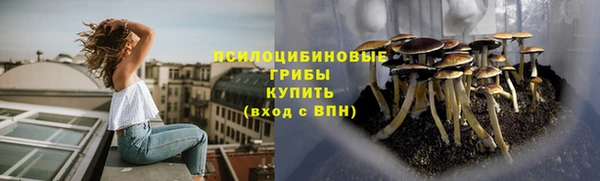 ПСИЛОЦИБИНОВЫЕ ГРИБЫ Пересвет
