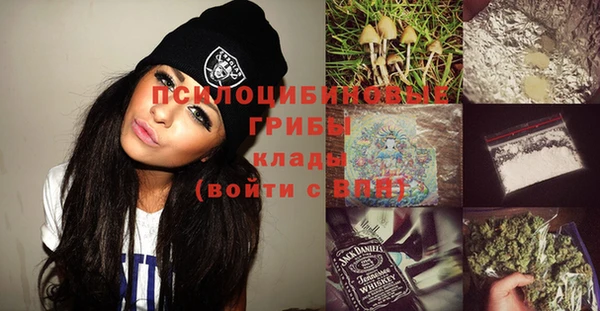стаф Тольятти