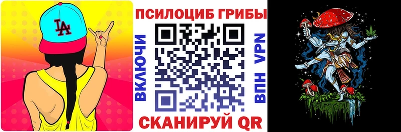 купить   Туапсе  Псилоцибиновые грибы Psilocybine cubensis 