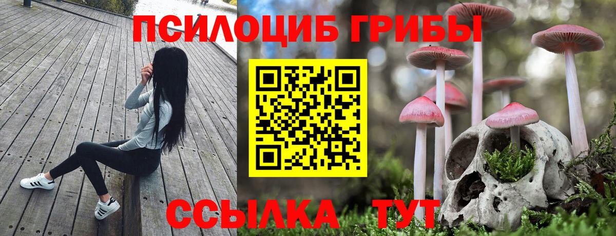 Галлюциногенные грибы MAGIC MUSHROOMS Туапсе