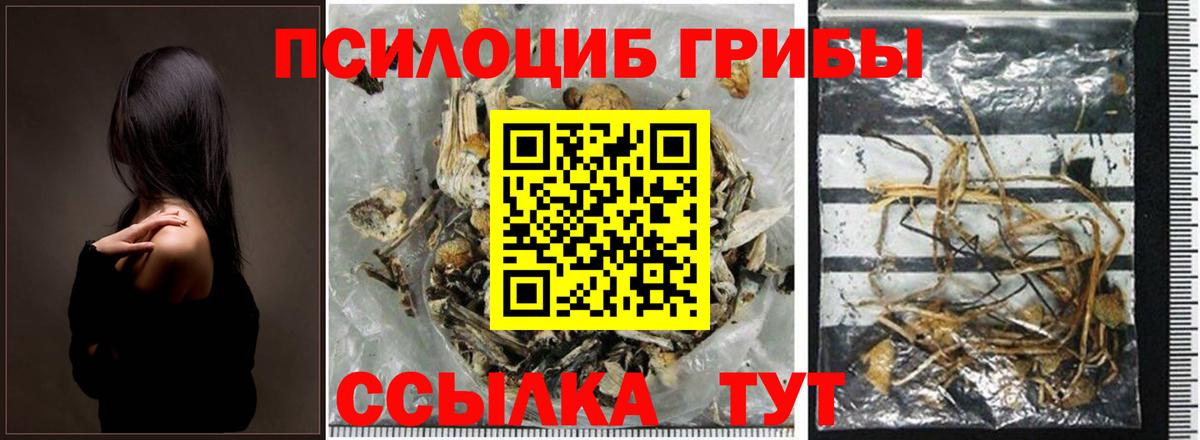 Псилоцибиновые грибы Magic Shrooms  Галлюциногенные грибы прущие грибы  как найти   Туапсе  Вход с VPN 